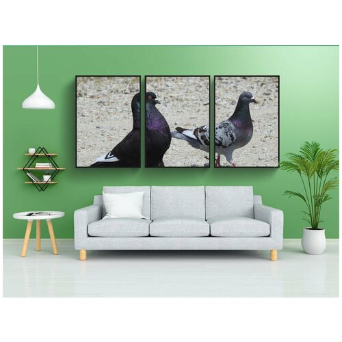 фото Набор модулных постеров для интерьера "голуби, пара голубей, птица" 60x90 см. в тубусе, без рамки lotsprints