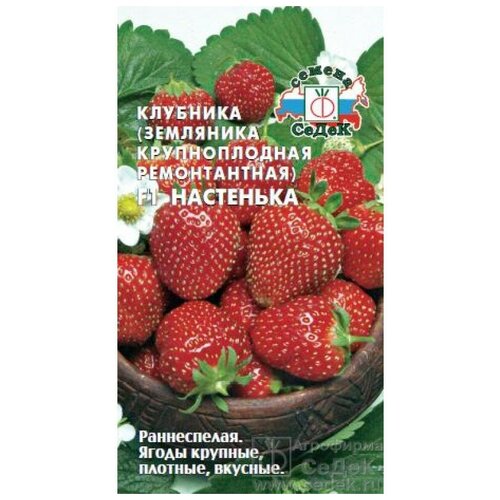 Семена Клубники (земляника крупноплодная ремонтантная) Настенька F1 (15 семян) земляника русский размер f1 ремонтантная 8шт нк 10 пачек семян