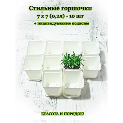 Набор горшочков для комнатных растений, рассады с индивидуальными поддонами 7*7 см 0,2л