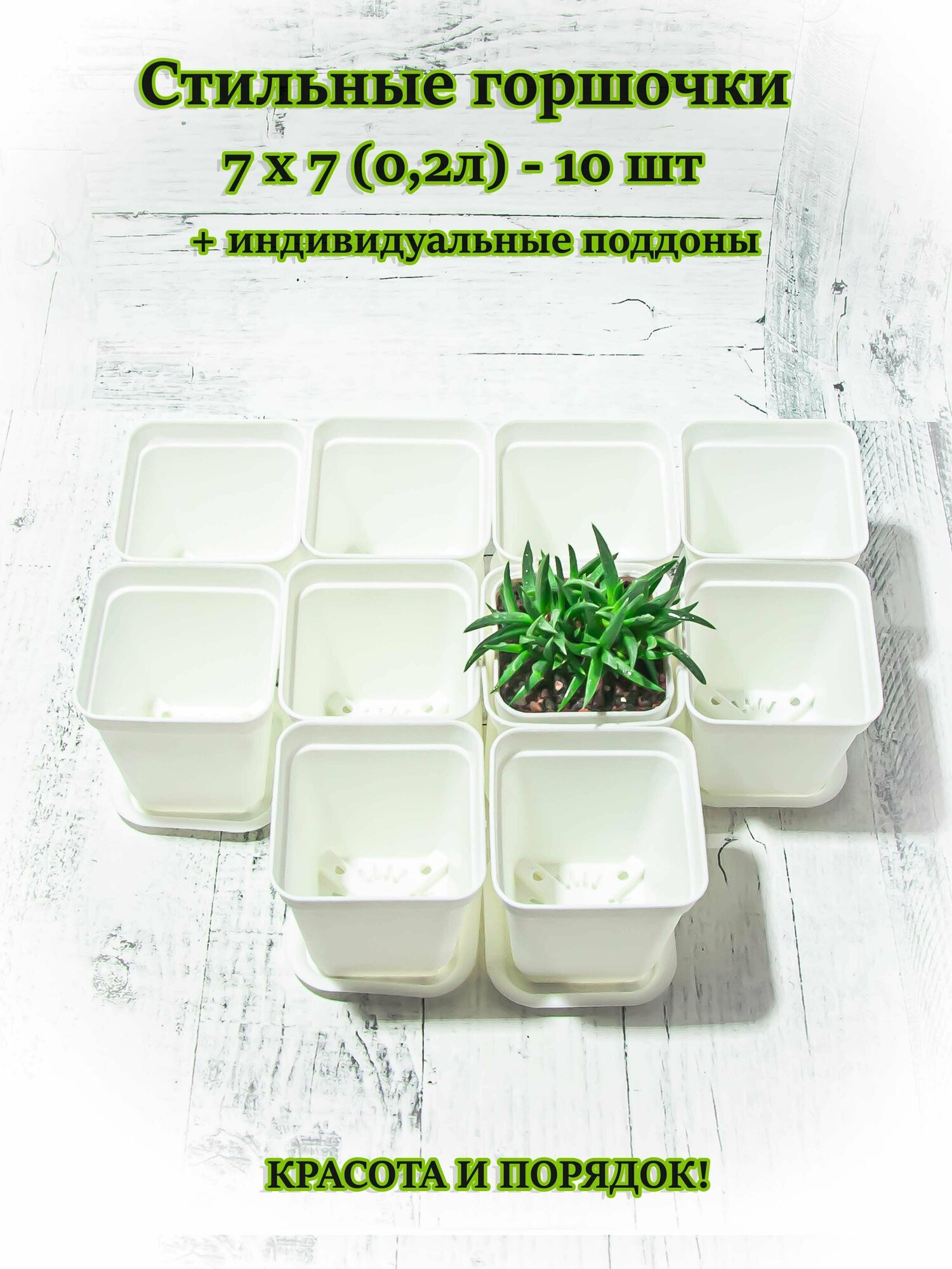 Набор горшочков для комнатных растений, рассады с индивидуальными поддонами 7*7 см 0,2л - фотография № 1