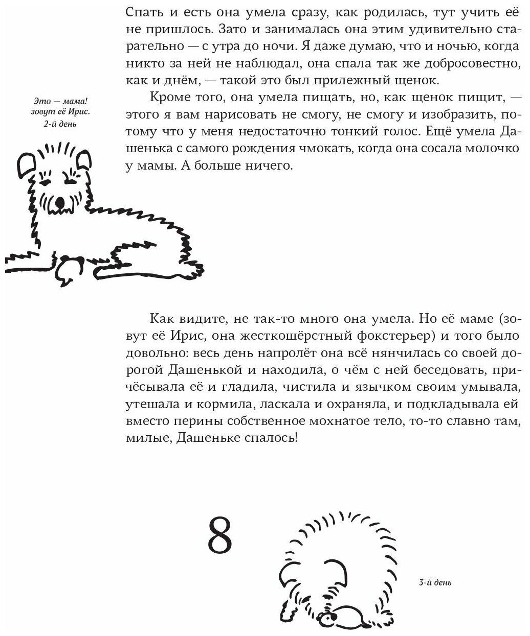 Дашенька, или История щенячьей жизни - фото №7