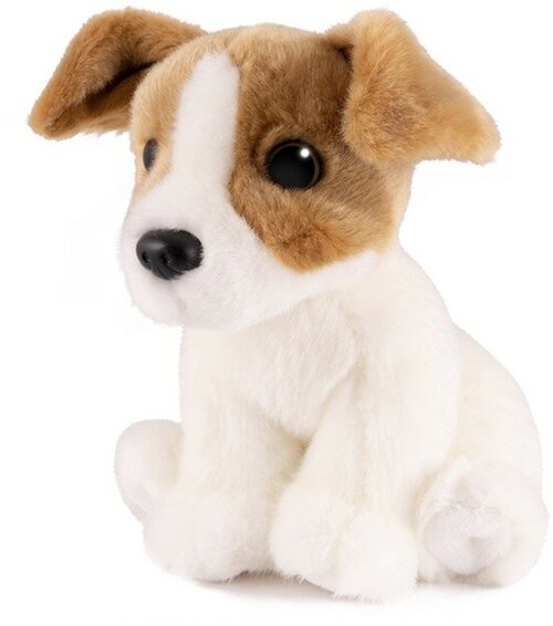 Maxi Life Мягкая игрушка «Собака Джек-Рассел», 20 см