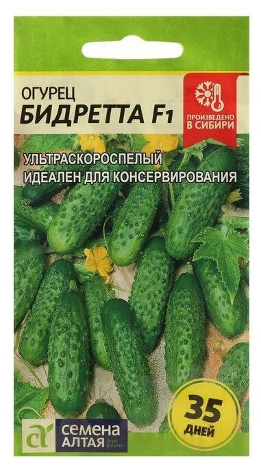 Семена Огурец 