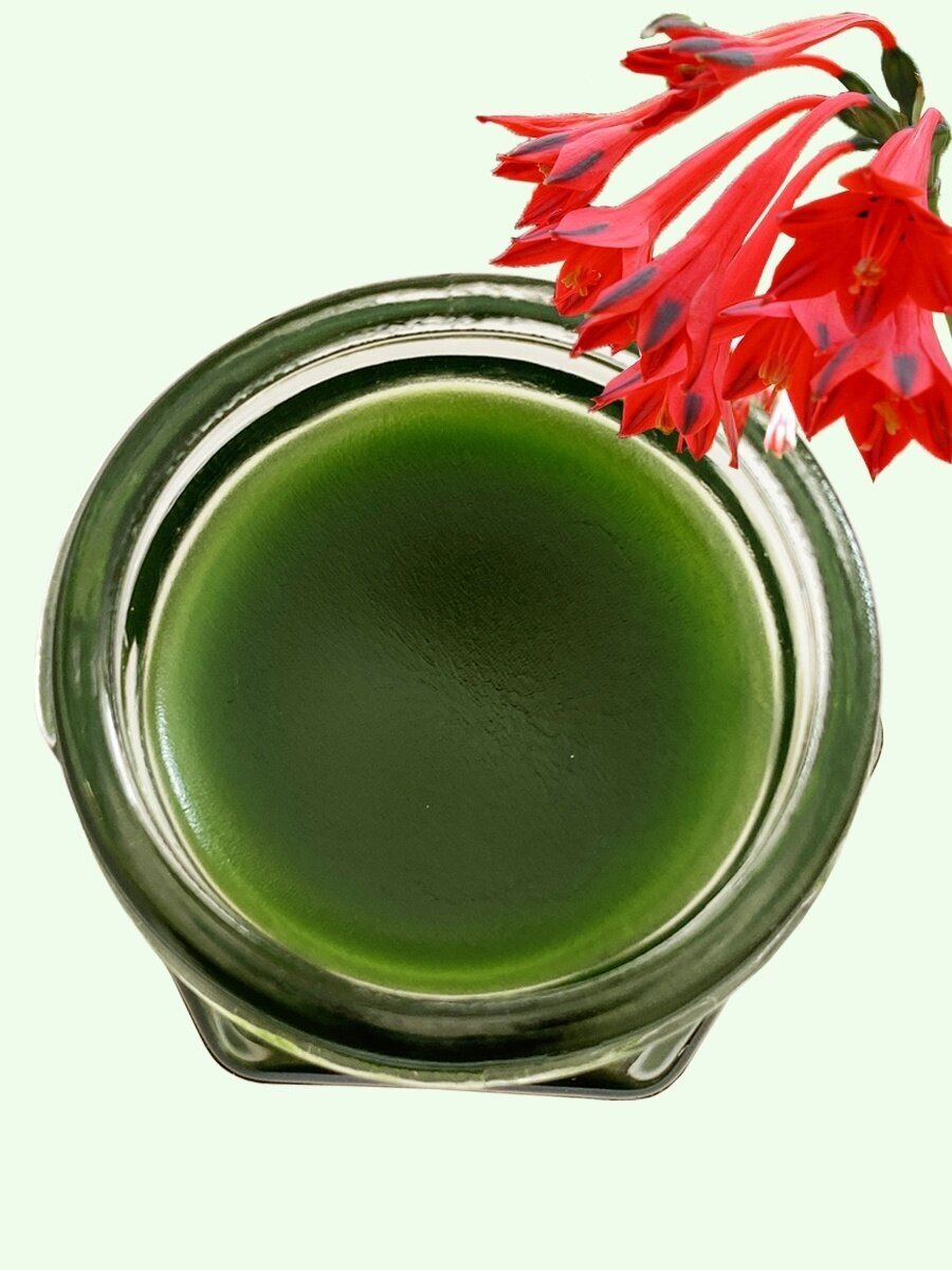 Бальзам Green Herb с клинакантунсом нутансом (зеленый), 20 г