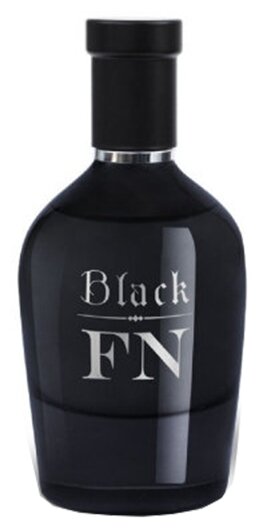 Flavio Neri Мужской Black FN Парфюмированная вода (edp) 100мл