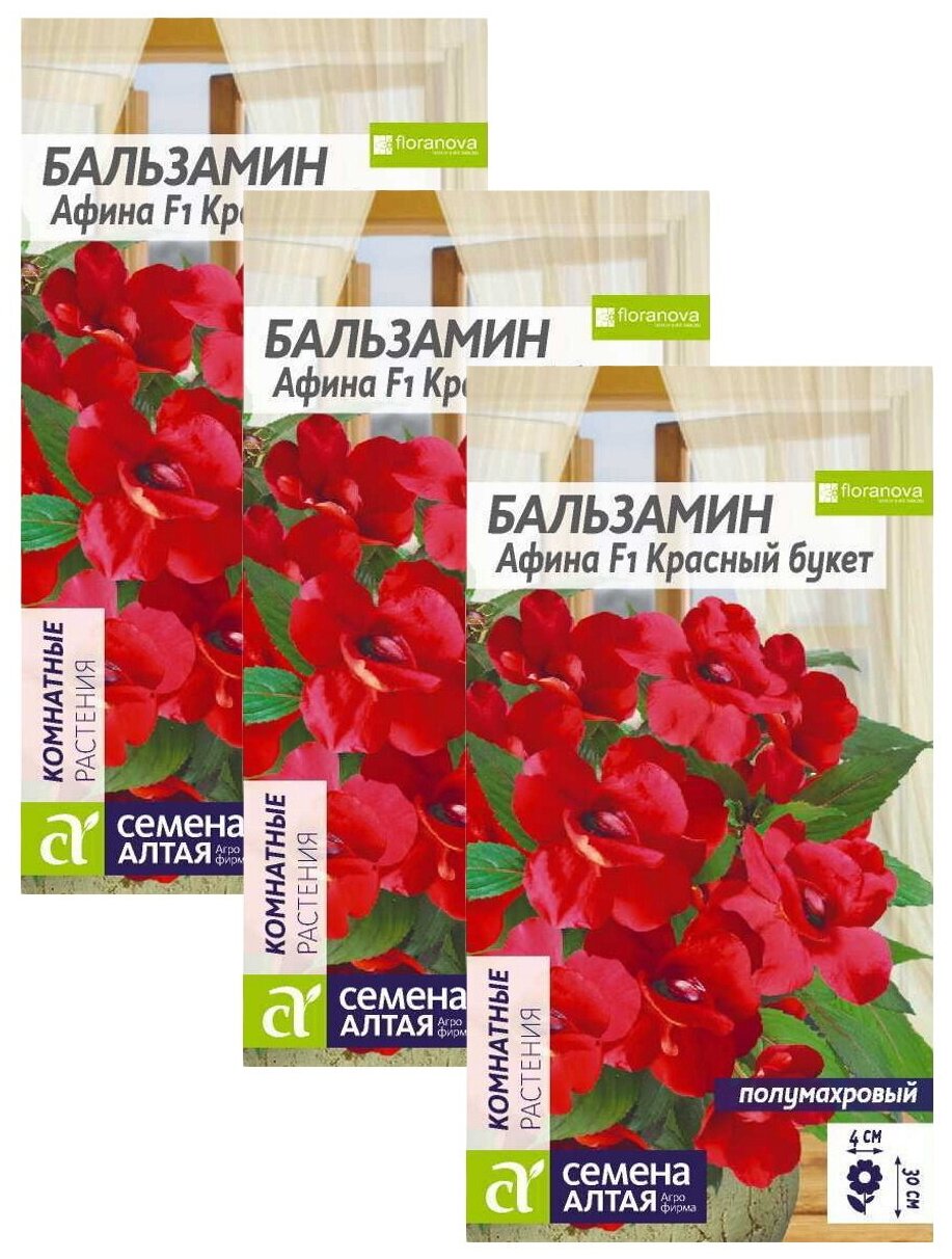 Семена Бальзамин Афина Красный букет Многолетние 5 шт./упак. х 3 шт.