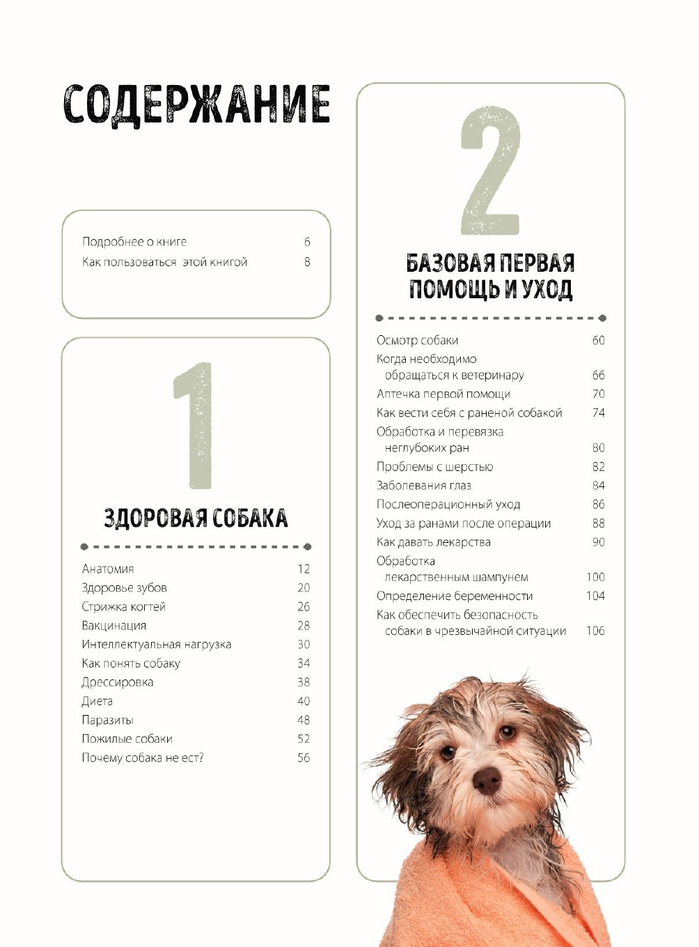 Первая помощь собакам (Дженнифер Паркер, Александр Аржаев, научный редактор) - фото №8