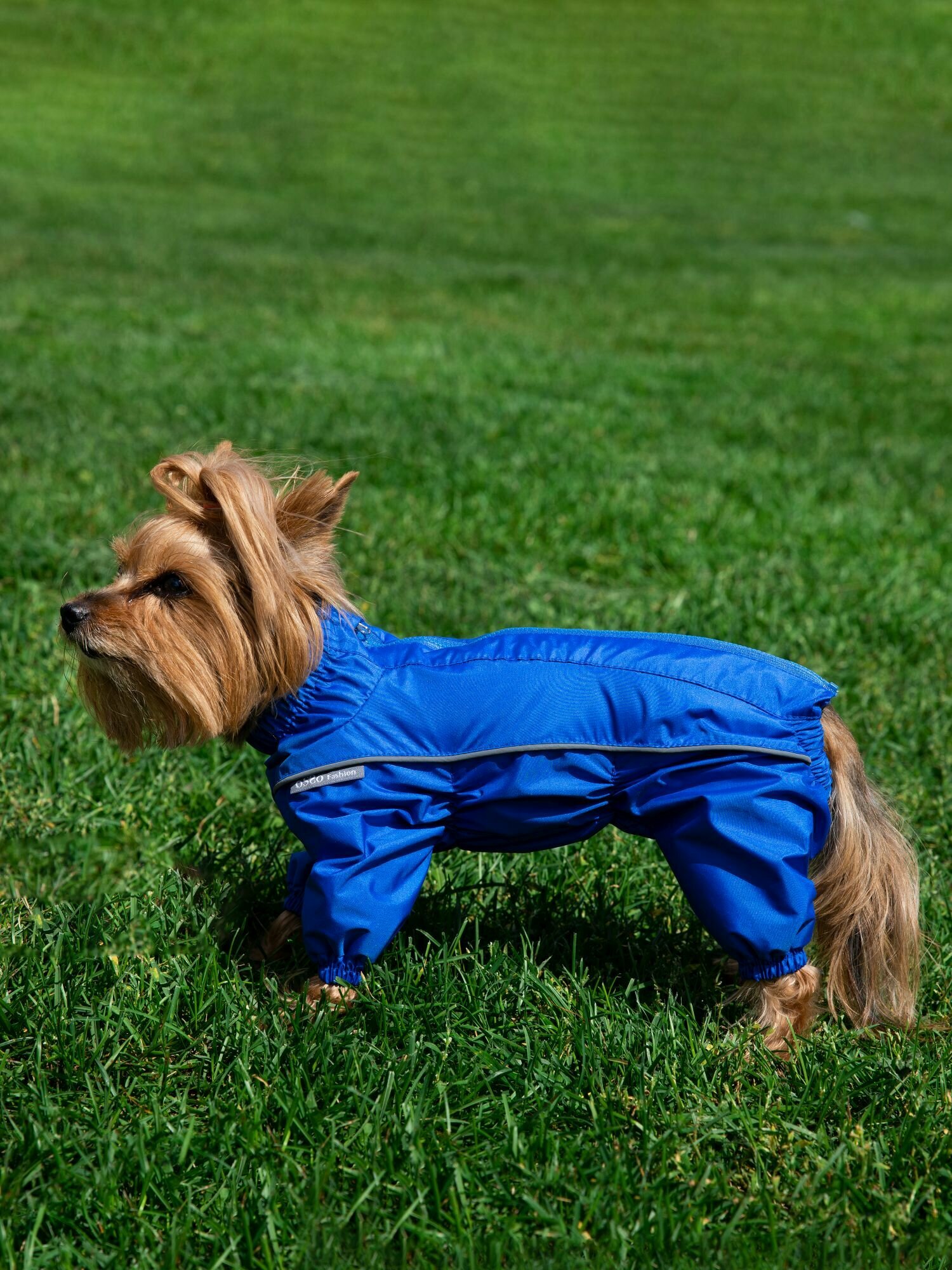 OSSO Fashion Дождевик- комбинезон для собак, р.28-2 (кобель) синий - фотография № 1