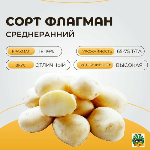 Картофель семенной флагман (суперэлита) (4 кг) мегаурожайный
