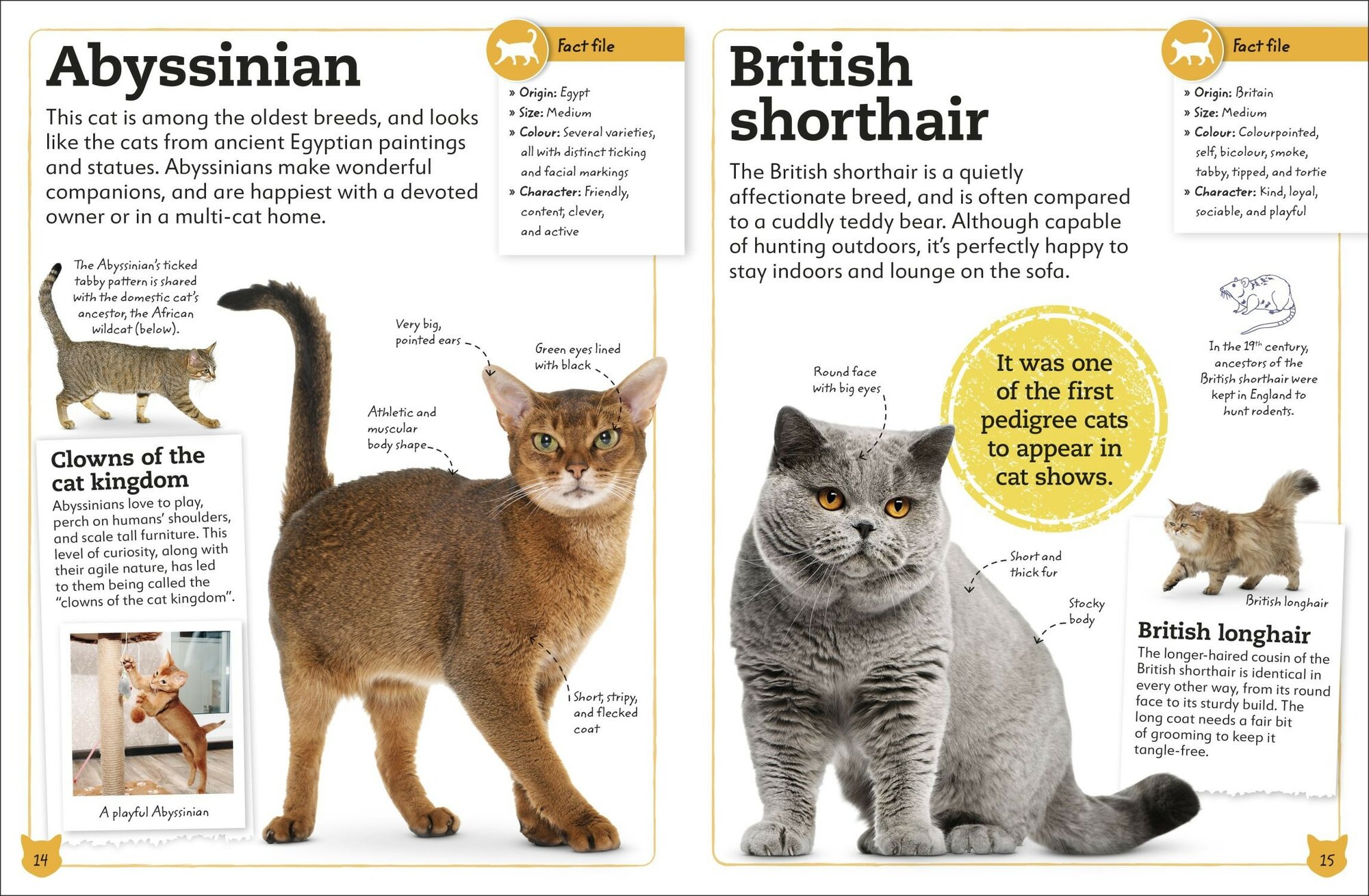 My Book of Cats and Kittens - фото №3