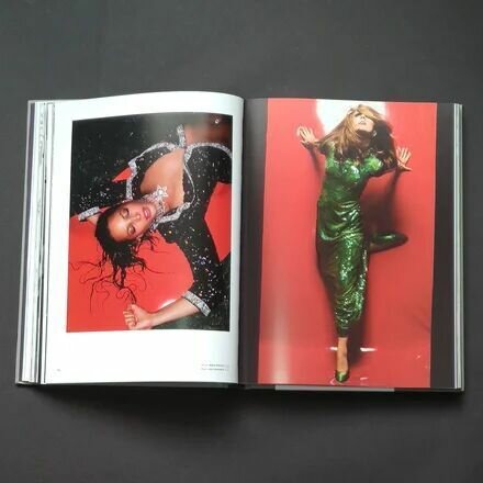 Dior. New Looks (Gautier Jerome) - фото №13