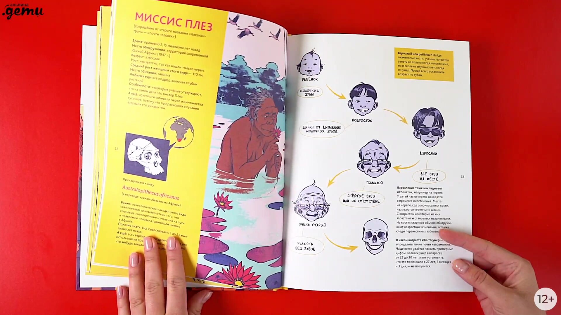 Книга "Путешествие во времени. Эволюция человека" / Издательство: Альпина Дети | Дэвис Беа, Шедлих Сюзан, Штанг Михаэль — фото 1