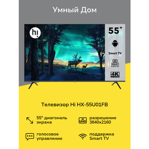 Телевизор Hi HX-55U01FB 29999₽