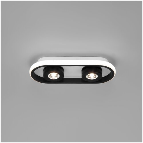 Потолочный светодиодный светильник Eurosvet 20123/2 LED белый/черный