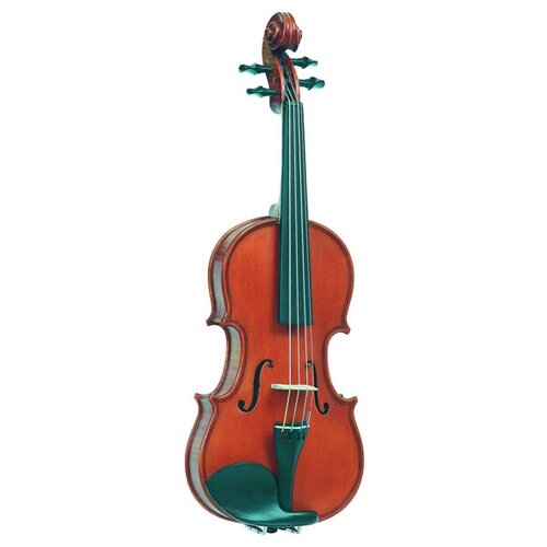 Скрипка Gliga Gems1 AW-V110