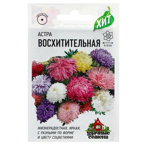 семена цветов астра восхитительная смесь о 0 3 г серия хит х3 Семена цветов Астра Восхитительная, смесь, О, 0,3 г серия ХИТ х3