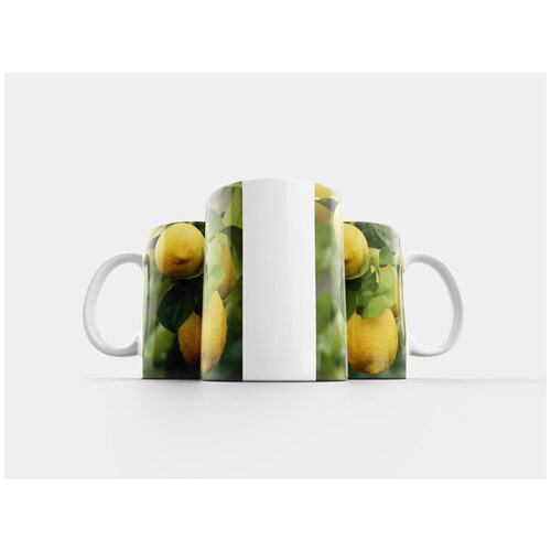 фото Кружка "лимон, лимонное дерево, лимонный" 320 мл lotsprints