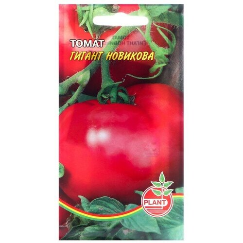 Семена Томат Гигант Новикова, 25 шт семена томат гигант лимонный 0 1г