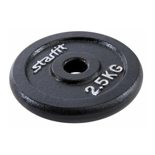 Диск чугунный Starfit BB-204 d-26 мм 2,5 кг (1116024)