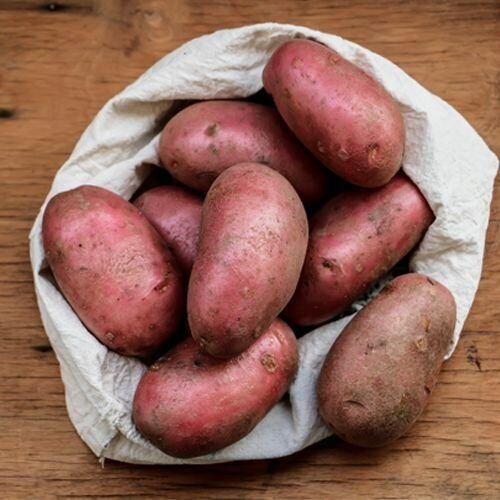 Картофель семенной сорт Ред Скарлет 2 кг картофель семенной ред скарлетт 2 кг