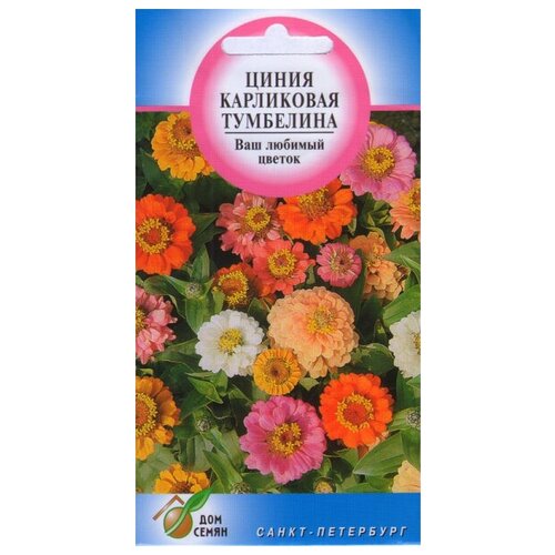 Цинния карликовая Тумбелина, 45 семян петуния вегетативная тумбелина дамсон риппл