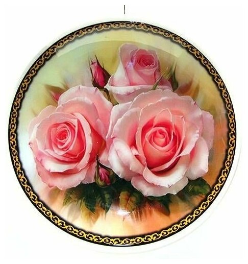 Тарелка фарфоровая d20 см Розы