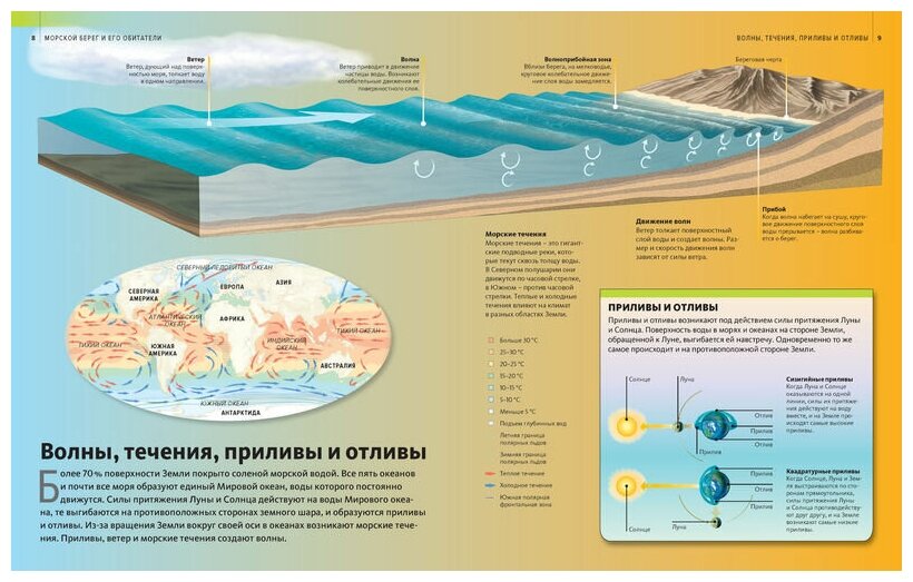 Морской берег и его обитатели (Покидаева Татьяна Юрьевна) - фото №4