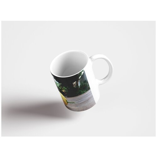 фото Кружка "лес, солнце, природа 320 мл. белая" lotsprints