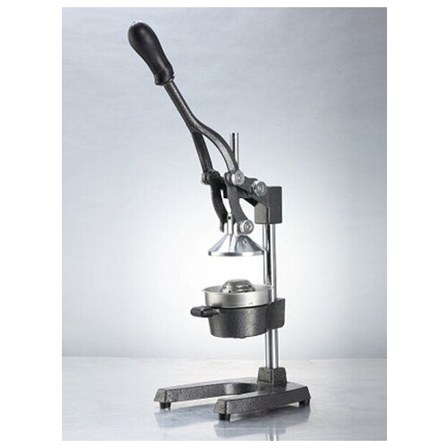 EKSI Соковыжималка EKSI JH2 679400₽