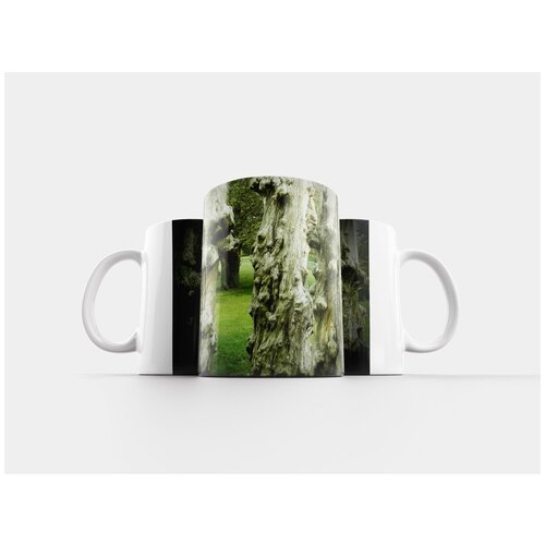 фото Кружка "дерево, пни, древесина" 320 мл lotsprints