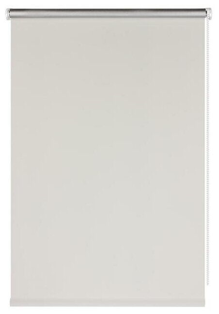 Штора рулонная PRAKTO Blackout Silver 60х160 см, белый - фотография № 1