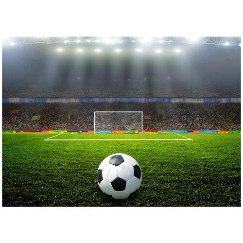 фото Футбольное поле и мяч - виниловые фотообои, (315х225 см) модный дом