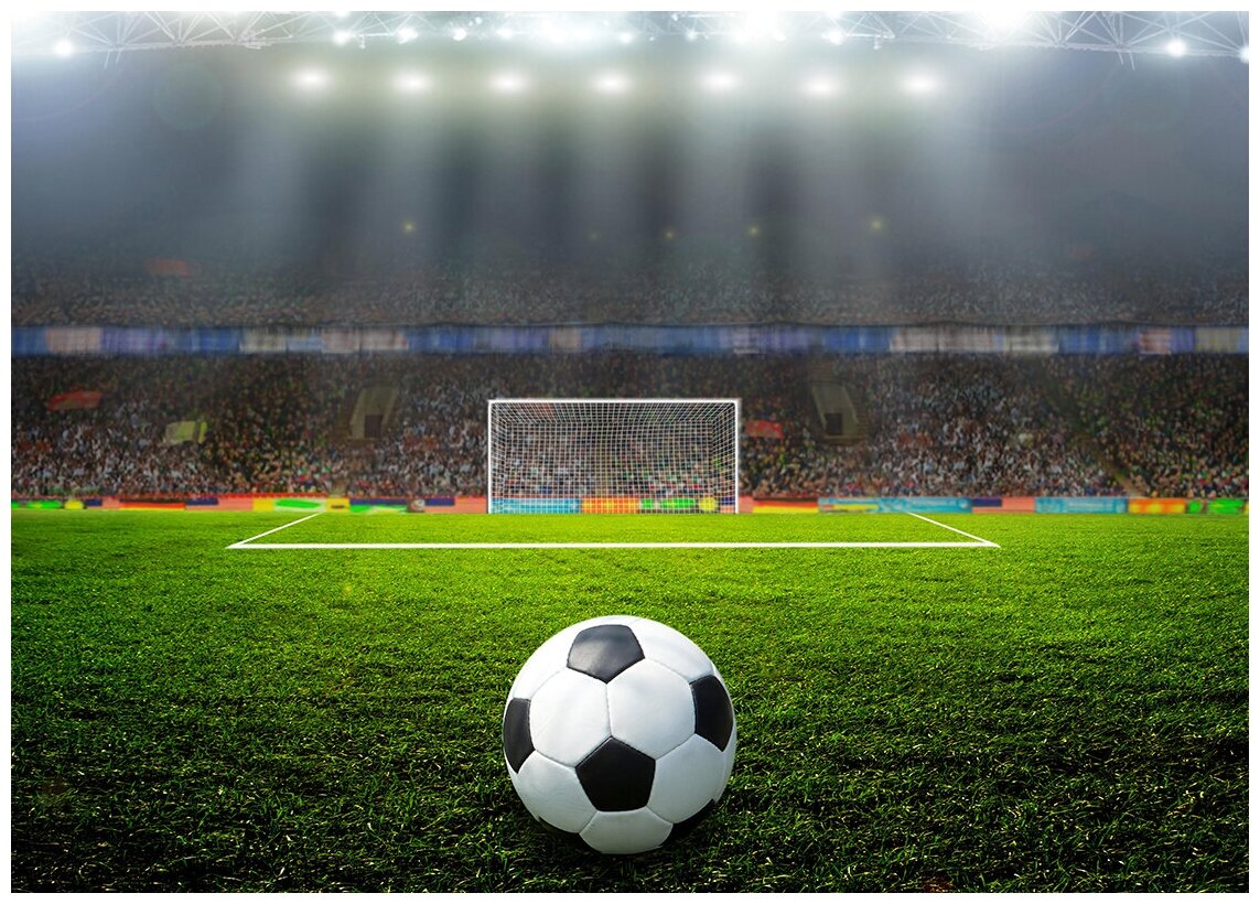 Футбольное поле и мяч - Виниловые фотообои, (315х225 см)