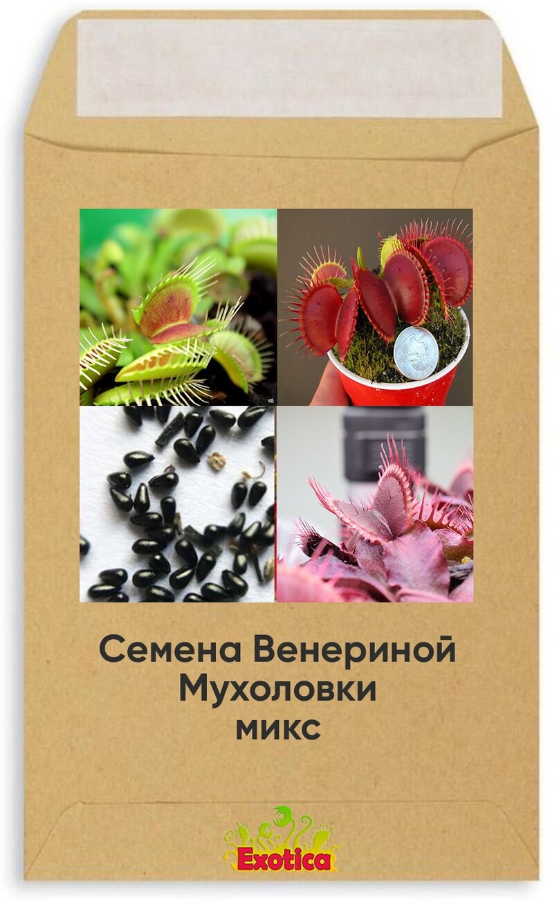 Семена Венериной Мухоловки Микс (Dionaea Muscipula Mix) 10шт