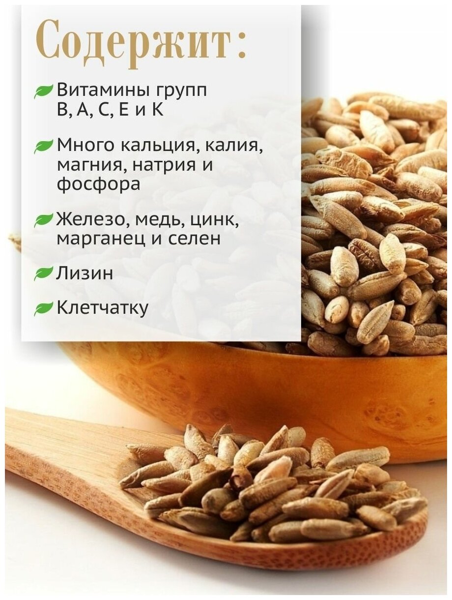 Рожь алтайская, цельное зерно для каш и проращивания, 1кг - фотография № 3
