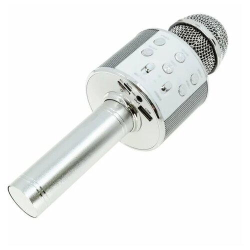 Беспроводной микрофон 55500₽