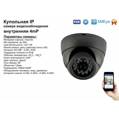 DVS300IP4MPPOE Внутренняя IP камера 4мП с ИК до 20м 204100₽