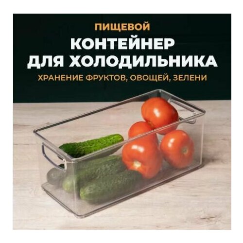 Емкость для холодильника Berkana 312х152хh127 прозрачный BEROSSI ИК 68500000 279837 635₽