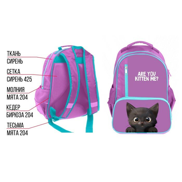 Рюкзак школьный, 37 х 26 х 13 см, эргономичная спинка, Calligrata ОРТ "Котик черный"