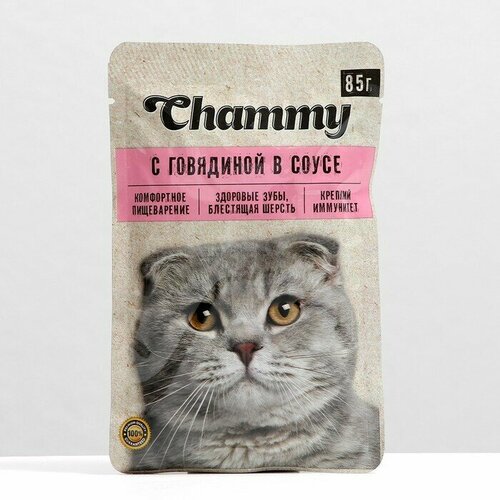 Влажный корм Chammy для кошек, говядина, кусочки в соусе, пауч, 85 г (25 шт)