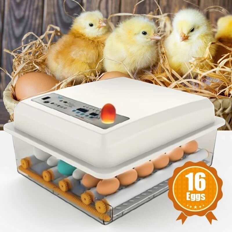 16 полностью автоматических двухэлектрических домашних инкубаторов для умных яиц