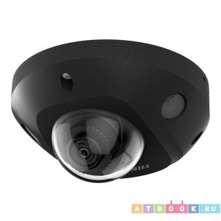 HIKVISION DS-2CD2543G2-IS DS-2CD2543G2-IS(2.8mm)(BLACK) Камеры видеонаблюдения