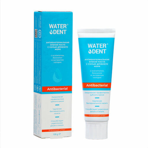 Зубная паста Waterdent антибактериальная 100 г 674₽