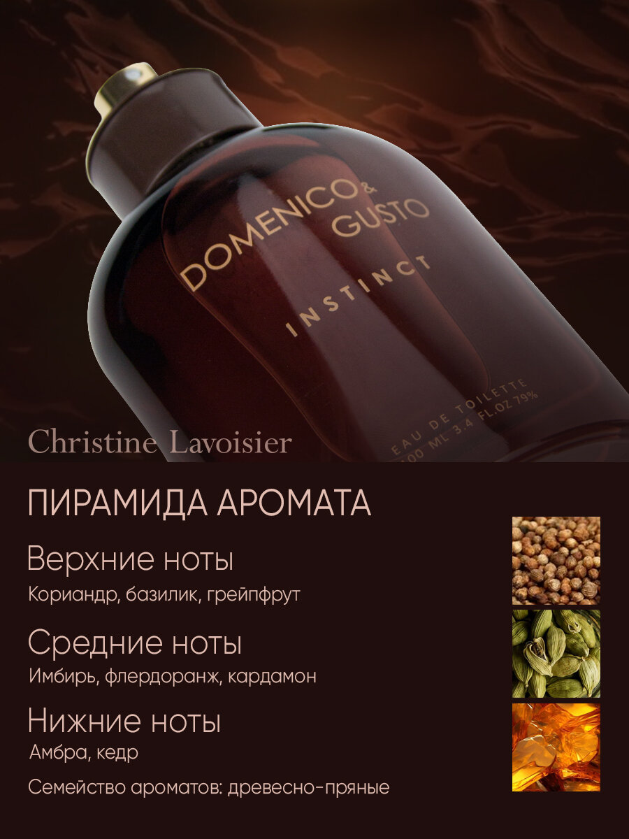 Domenico&Gusto Instinct , Доменико энд Густо Инстинкт, туалетная вода мужская, парфюм мужской, духи, древесный, пряный, — фото 1