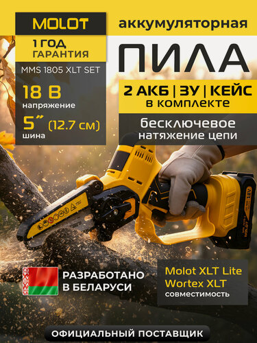 Изображение товара Аккумуляторная мини-пила MOLOT MMS 1805 XLT Lite SET, с 2 акб и зу, в кейсе
