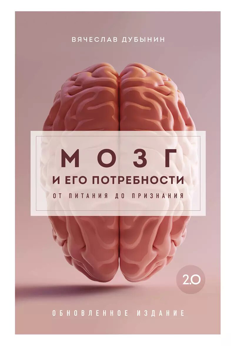 Мозг и его потребности 2.0. От питания до признания