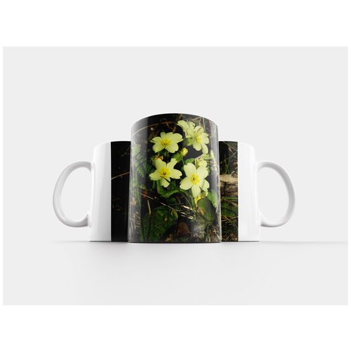 фото Кружка "вена, озеро, город" 320 мл lotsprints