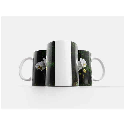фото Кружка "орхидея, тропический сад, белый цветок" 320 мл lotsprints