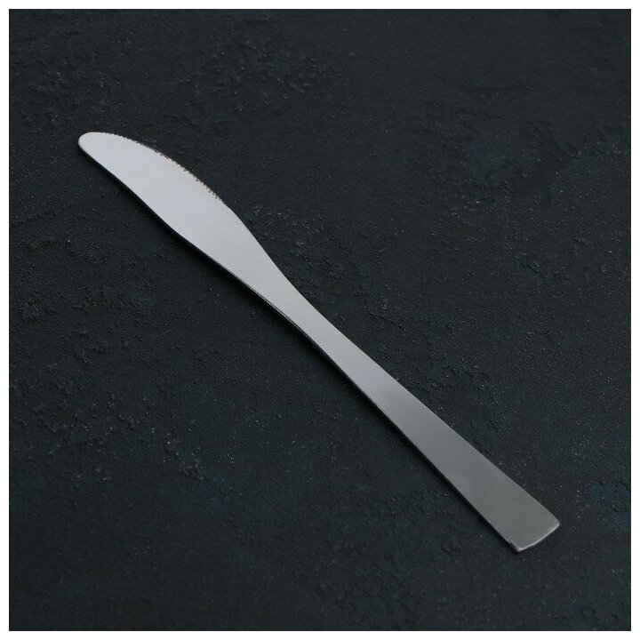 Доляна Нож столовый из нержавеющей стали Доляна Gleen, длина 22 см, толщина 2 мм, цвет серебряный