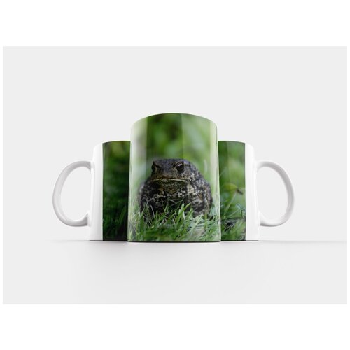 фото Кружка "весна, зима, цветущее дерево" 320 мл lotsprints